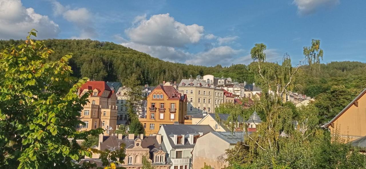 Guesthouse "Malena" Karlovy Vary Kültér fotó